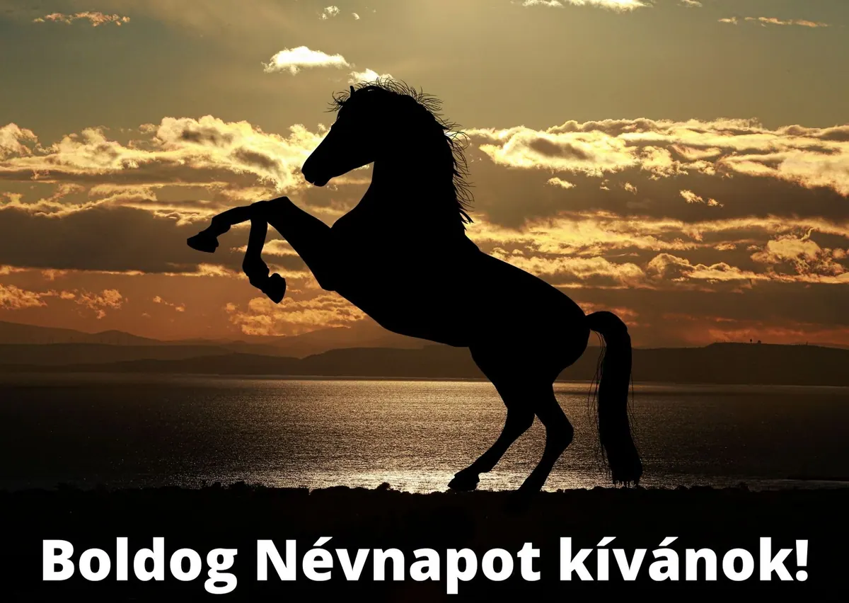 Lovas névnapi képeslap (14. lap)