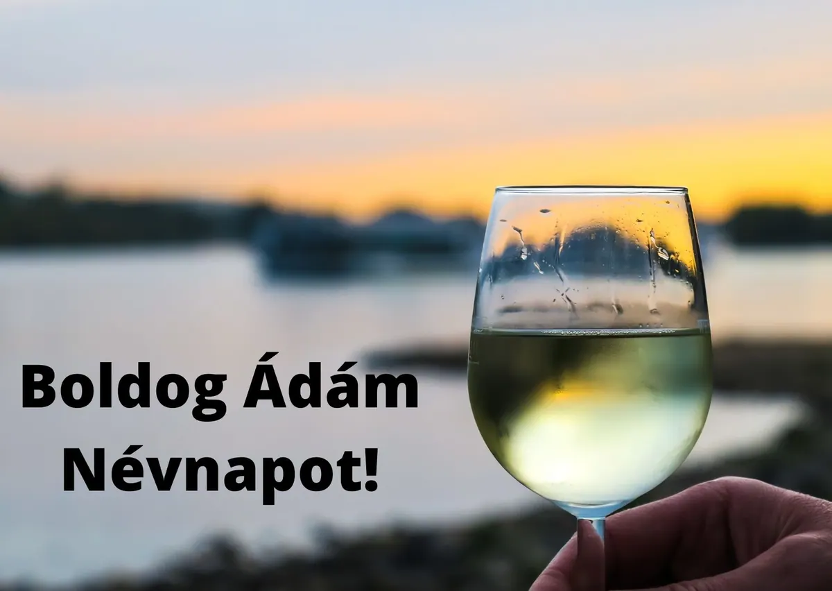 Ádám névnapi képeslap (7. lap)