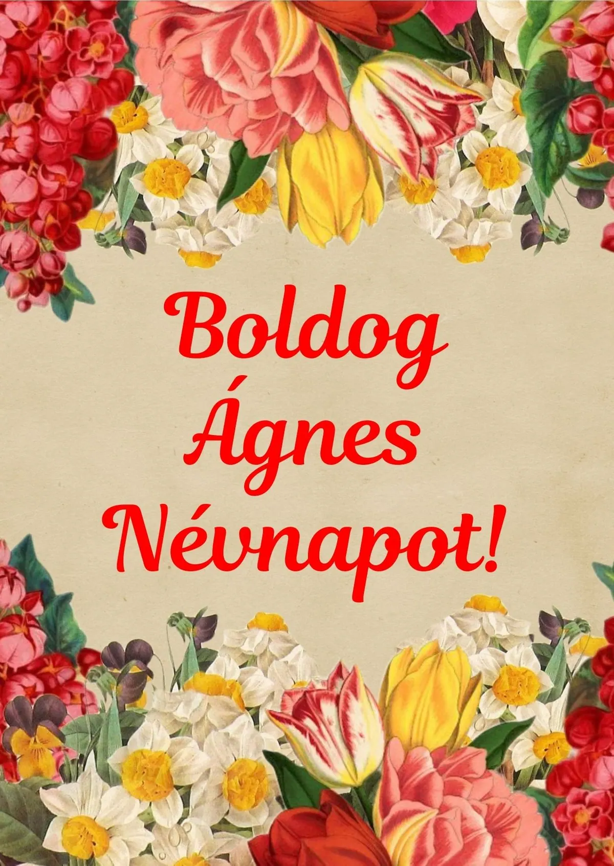 Ágnes névnapi képeslap (4. lap)