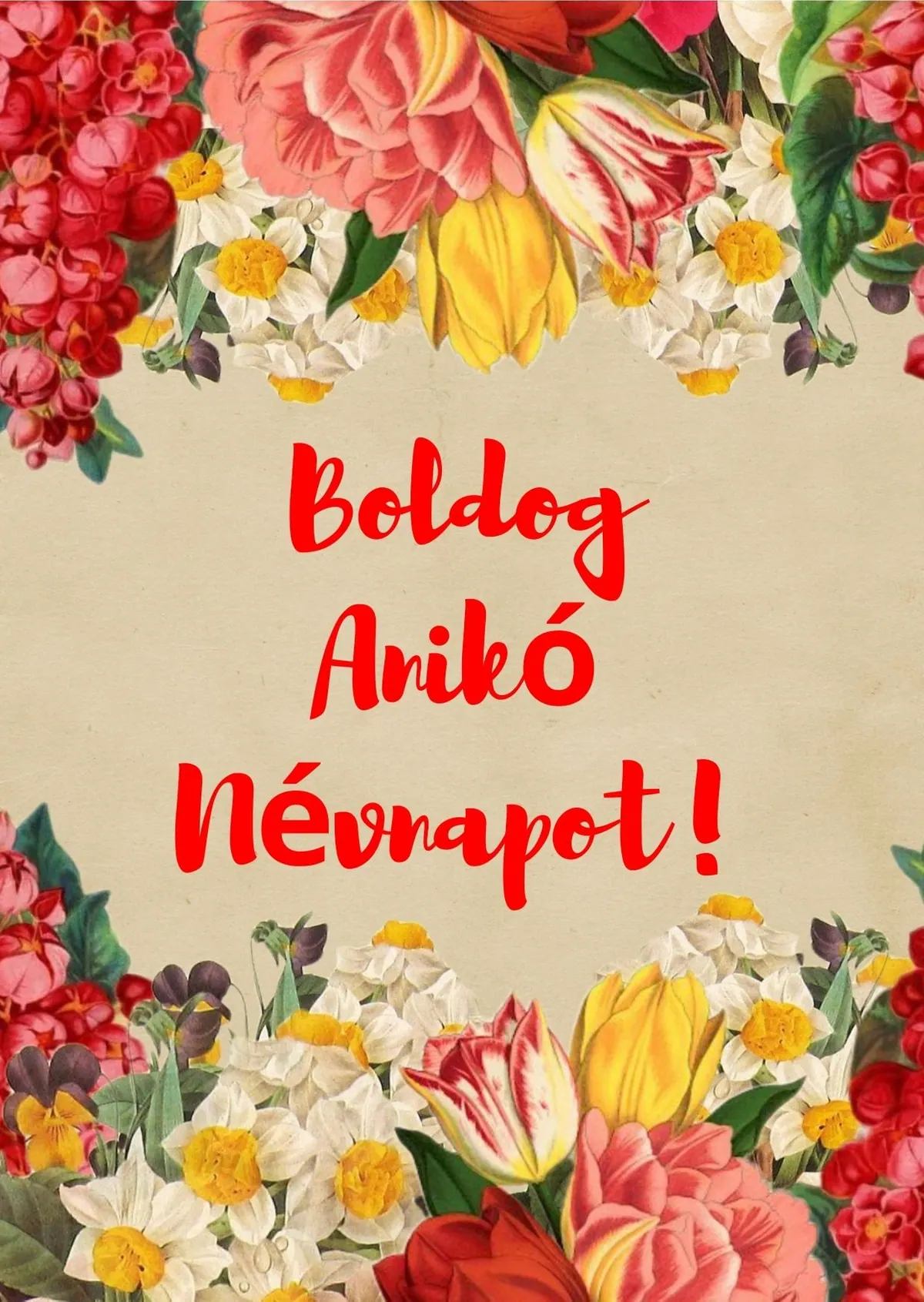 Anikó névnapi képeslap (4. lap)
