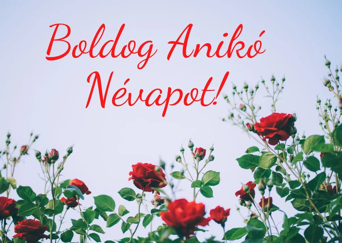 Anikó névnapi képeslap (25. lap)