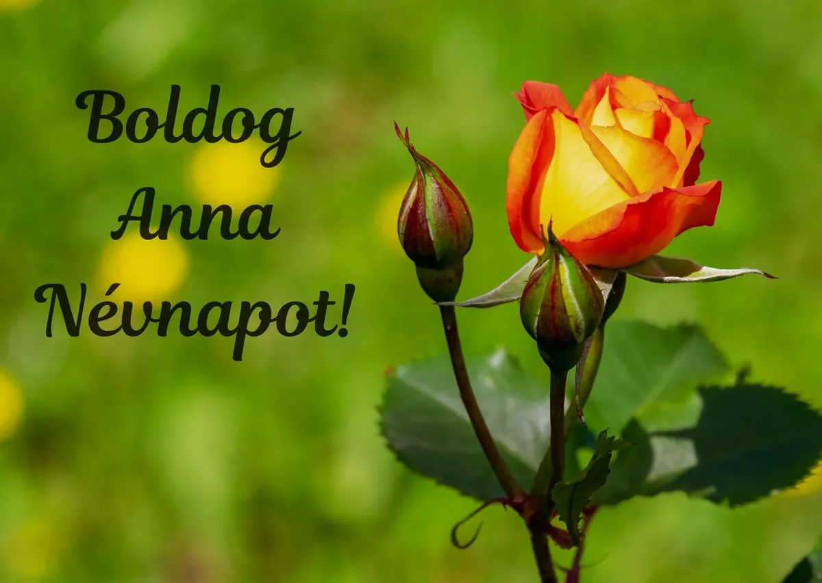Anna névnapi képeslap (2. lap)