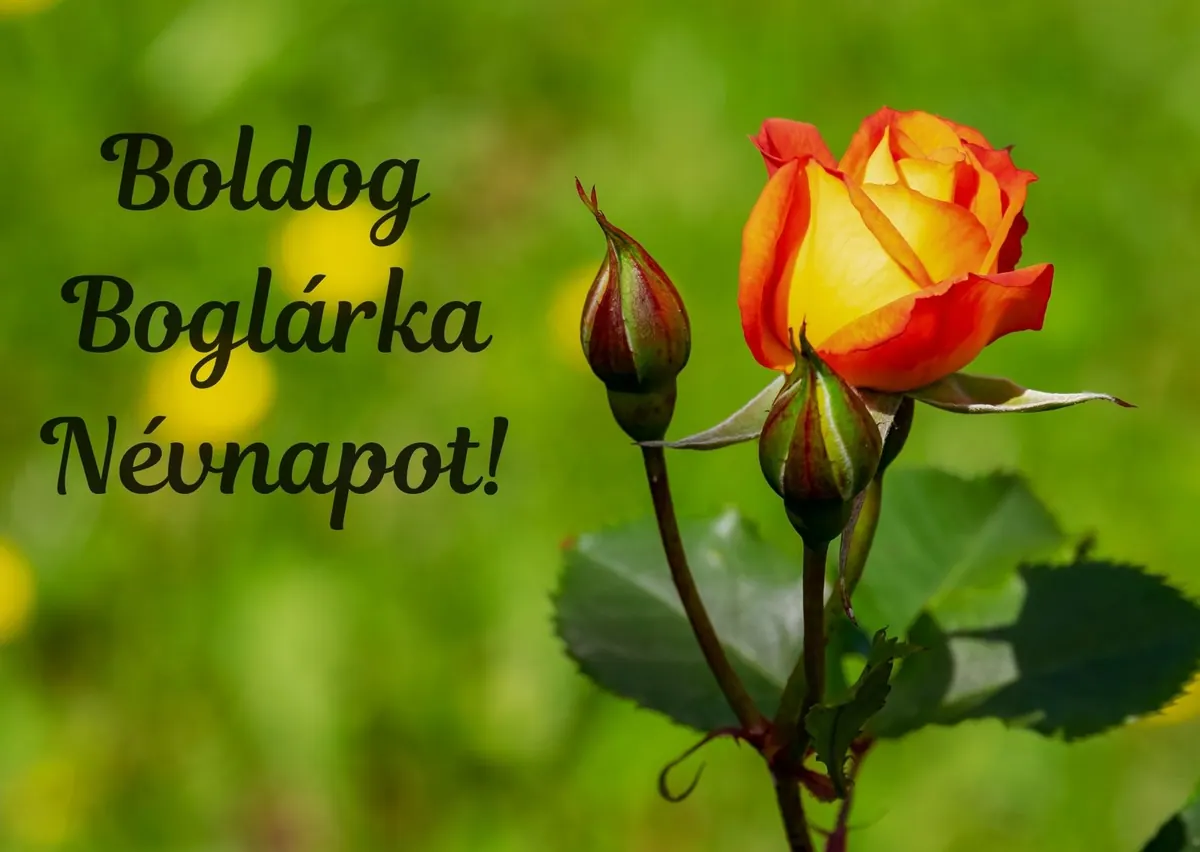 Boglárka névnapi képeslap (3. lap)