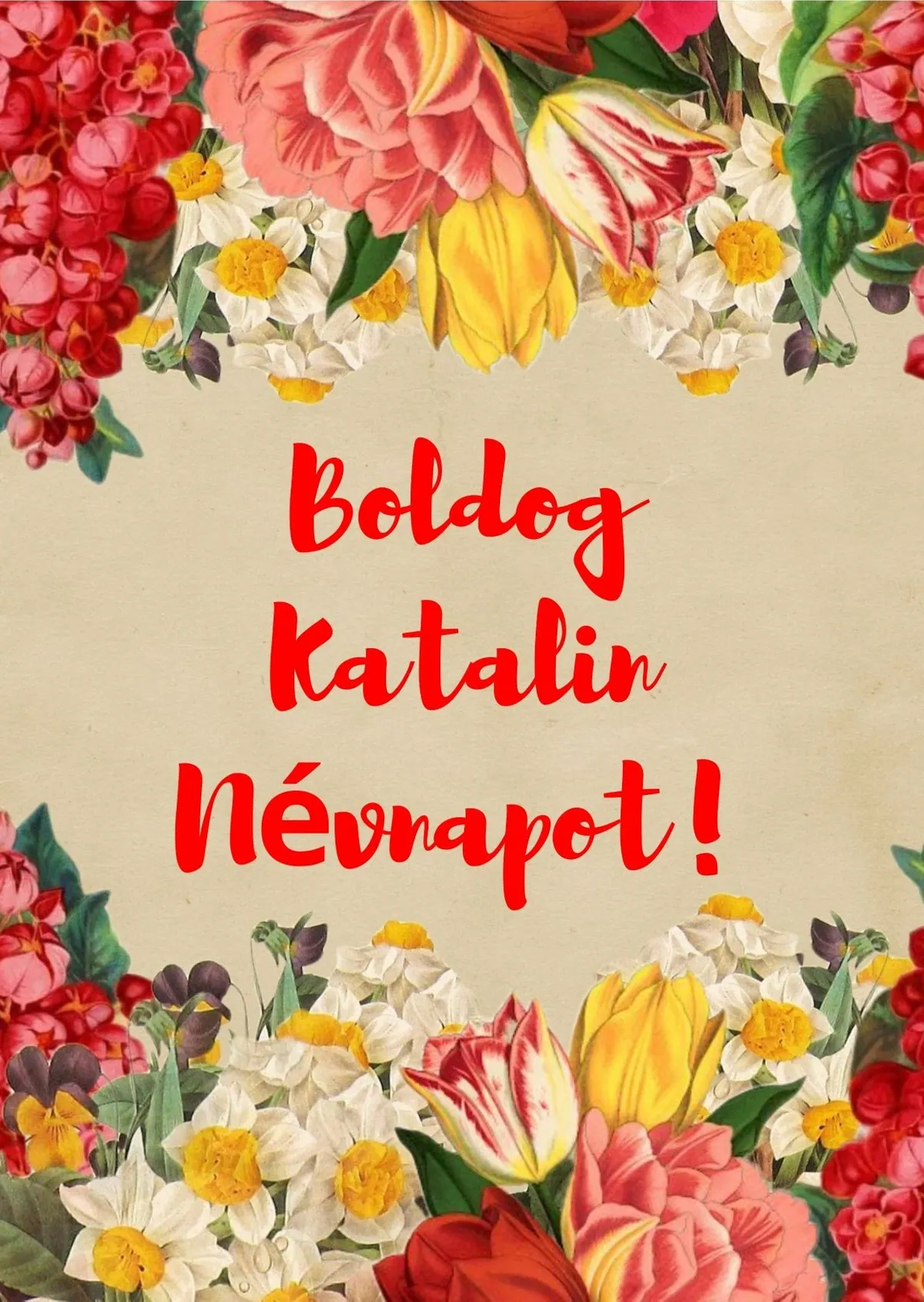 Katalin névnapi képeslap (4. lap)