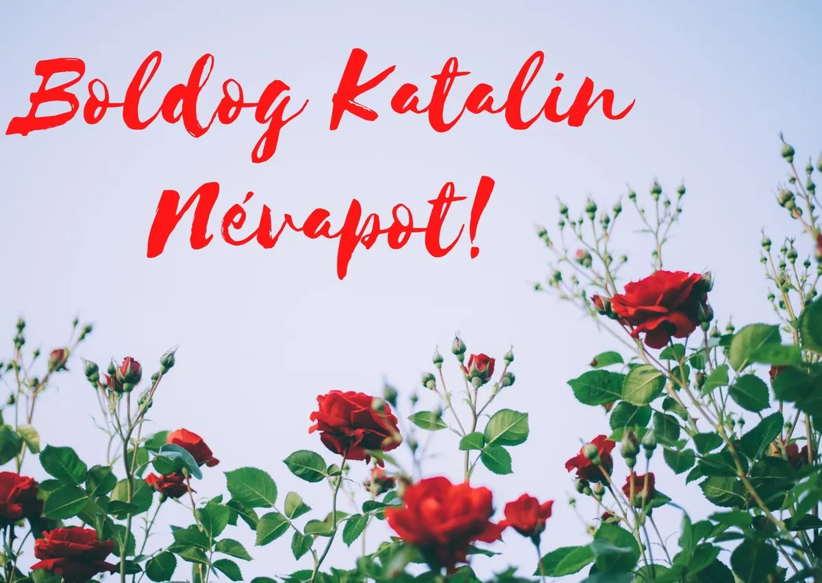 Katalin névnapi képeslap (12. lap)