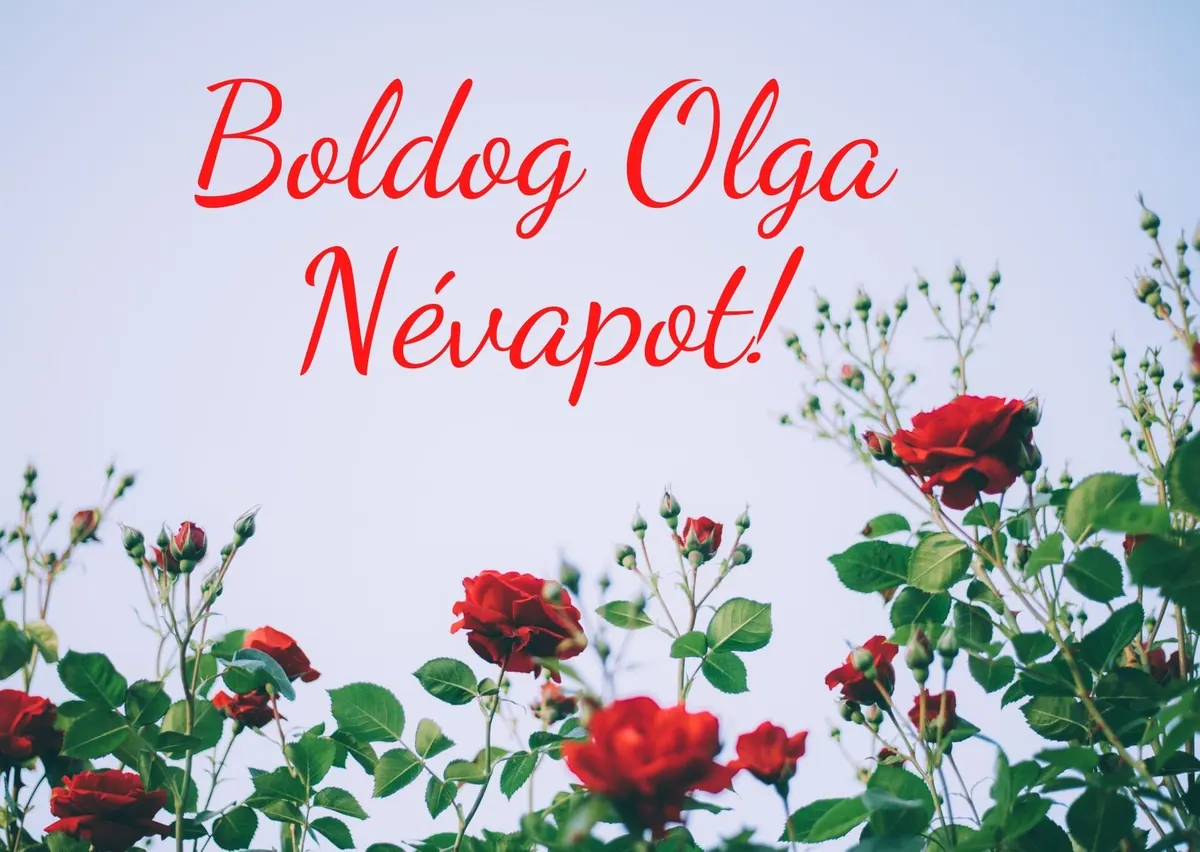 Olga névnapi képeslap (12. lap)