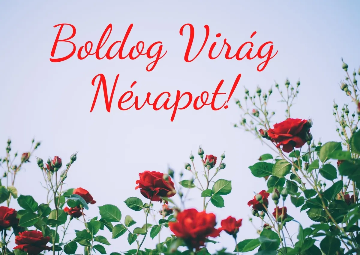 Virág névnapi képeslap (11. lap)