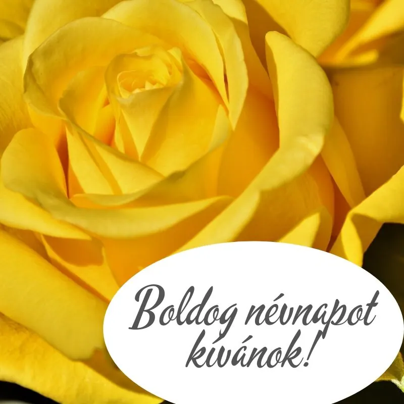 Névnapi képeslap nőknek (10. lap)
