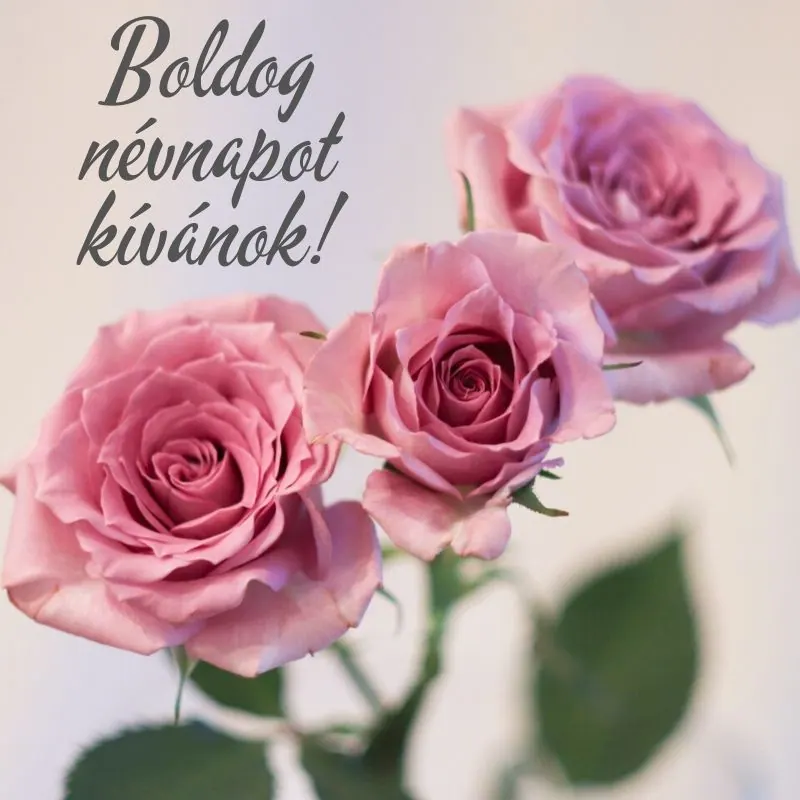 Névnapi képeslap nőknek (11. lap)