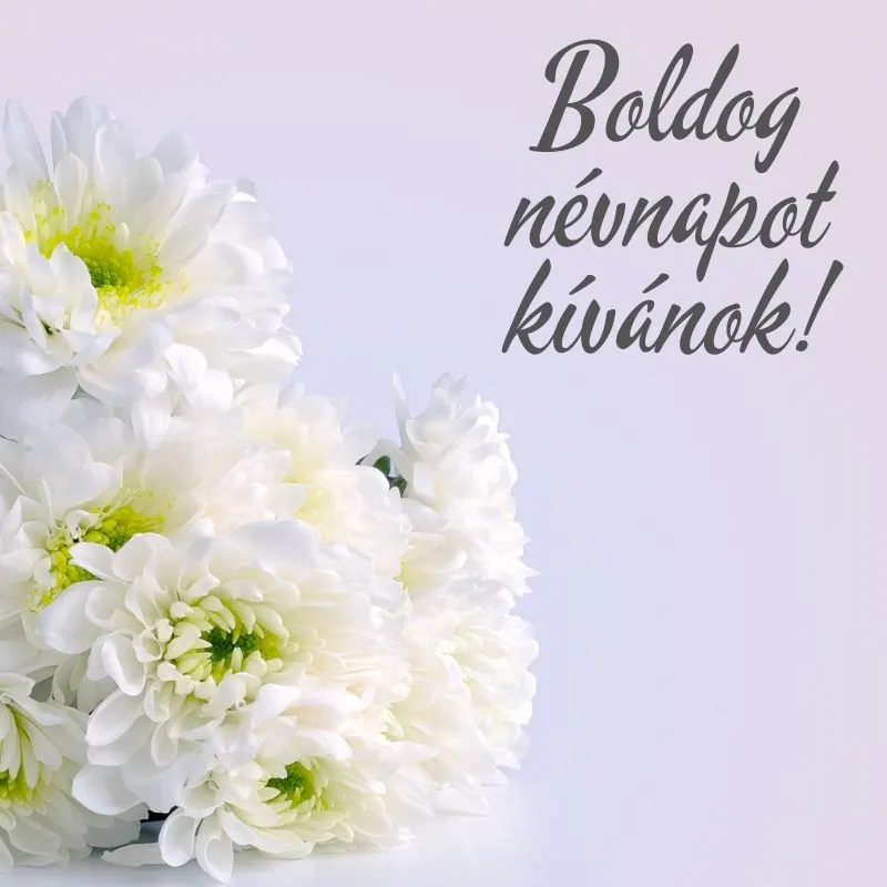 Névnapi képeslap nőknek (12. lap)