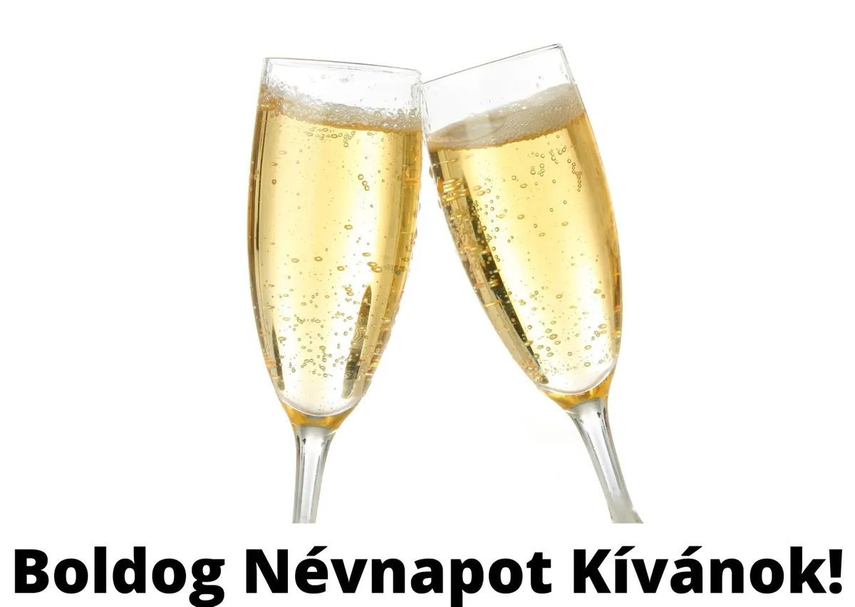 Vicces névnapi képeslap (6. lap)