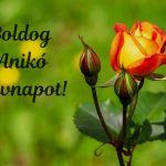 Anikó névnap képeslap
