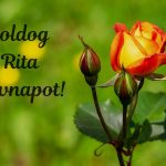 Rita névnapi képeslap